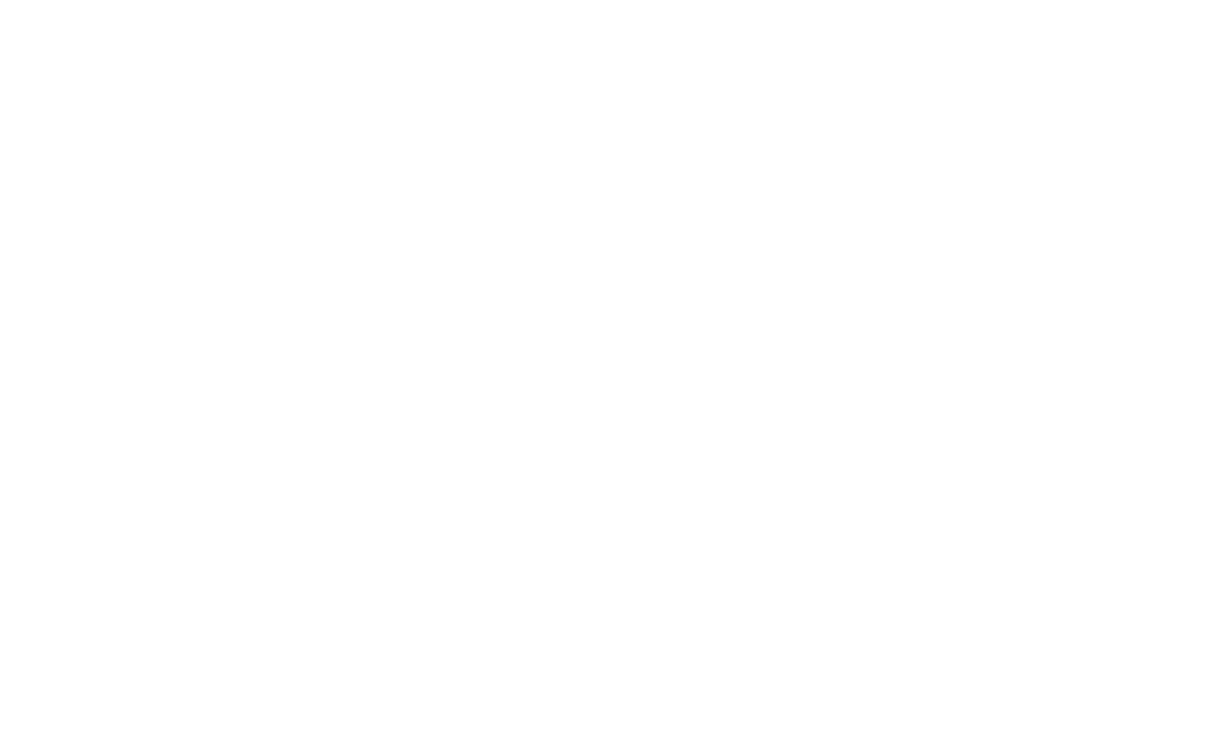 Saily Logo